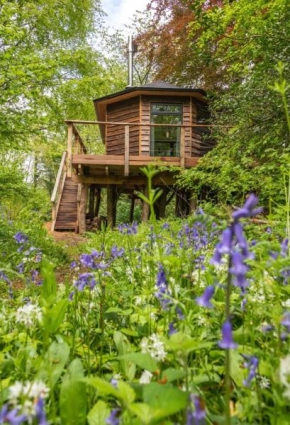 Unique Secluded Romantic Treehouse in Cornwall, sleeps 2